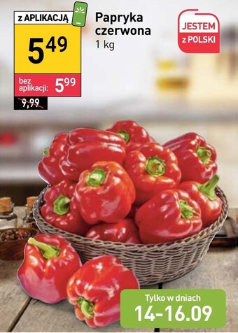 Stokrotka Papryka oferta