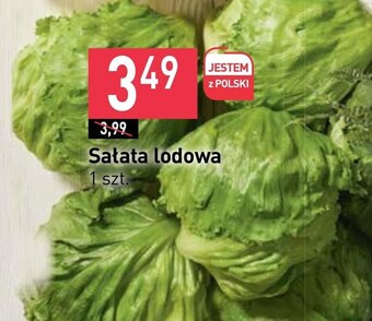 Stokrotka Sałata oferta