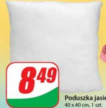 Dino Poduszka oferta
