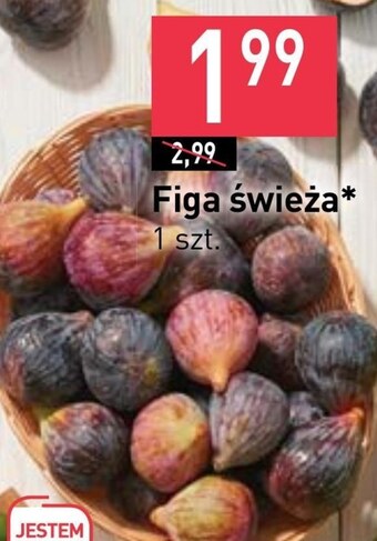 Stokrotka Market Figa oferta
