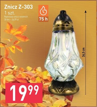 Stokrotka Market Znicz oferta