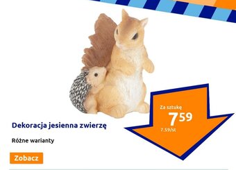 Action Dekoracja jesienna zwierzę oferta