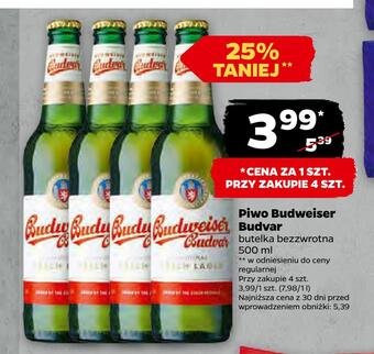 Netto Piwo budweiser budvar oferta