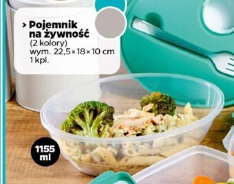 Netto Pojemnik na żywność oferta