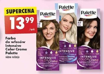 Biedronka Farba do włosów Intensive Color Creme Palette oferta