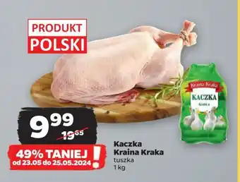Netto Kaczka oferta