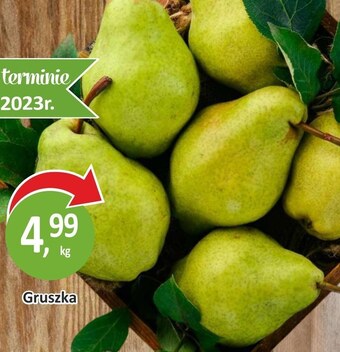 Passa Gruszka oferta