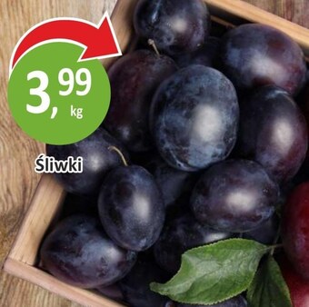 Passa Śliwki oferta