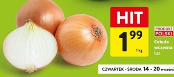 Intermarche Cebula oferta