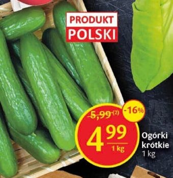 Delikatesy Centrum Ogórki krótkie 1 kg oferta