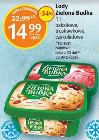 Delikatesy Centrum Lody Zielona Budka 1l oferta