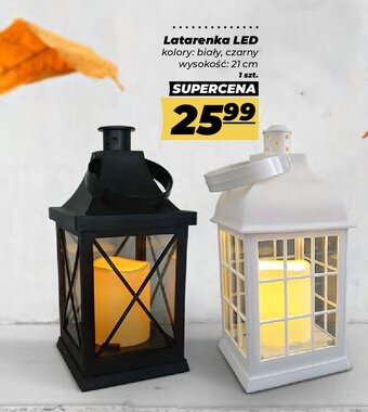 Polomarket Latarenka led oferta