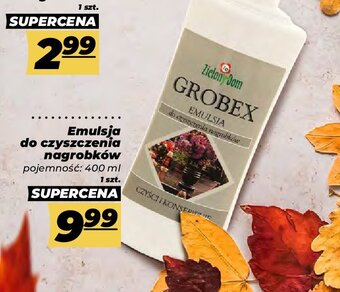 Polomarket Emulsja do czyszczenia nagrobków oferta
