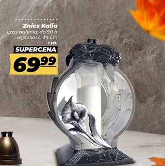 Polomarket Znicz kalia oferta