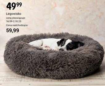 Rossmann Legowisko oferta