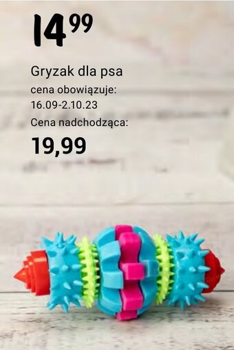 Rossmann Gryzak dla psa oferta