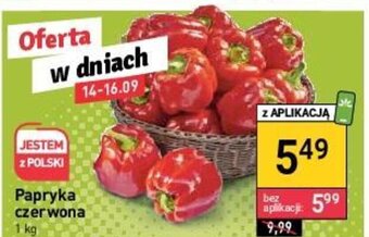 Stokrotka Papryka czerwona 1kg oferta