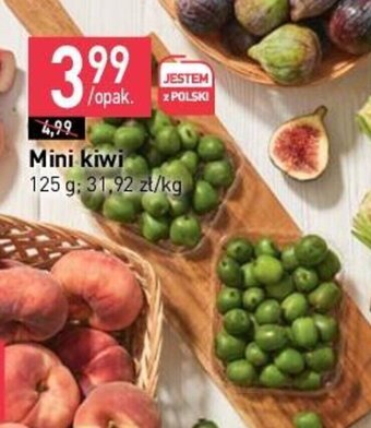 Stokrotka Mini kiwi 125g oferta