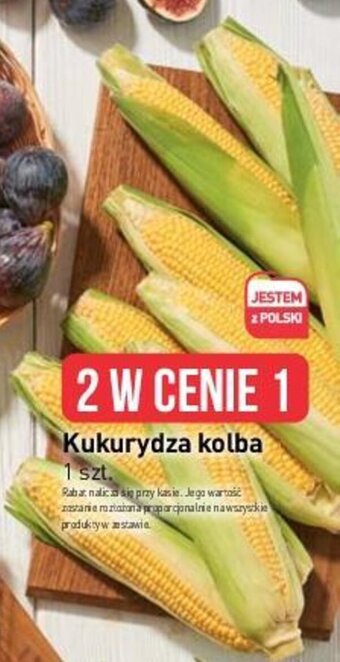 Stokrotka Kukurydza kolba oferta
