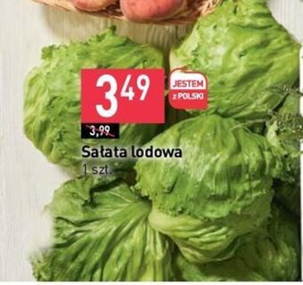 Stokrotka Sałata lodowa 1 szt. oferta