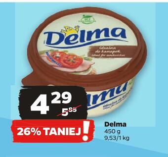Netto Delma oferta