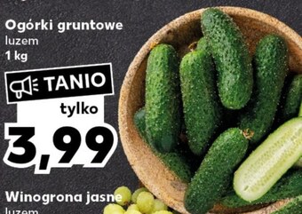 Kaufland Ogórki oferta