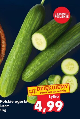 Kaufland Ogórek oferta