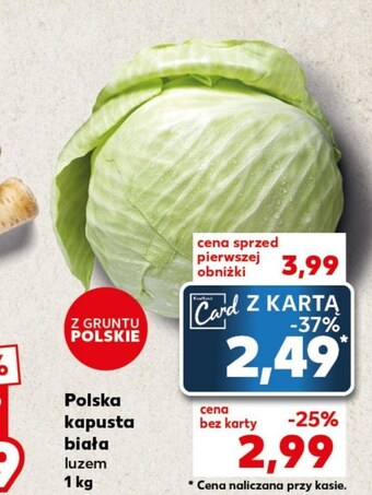 Kaufland Kapusta oferta