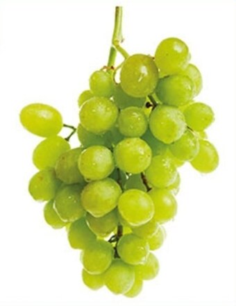 E.Leclerc Winogrona oferta