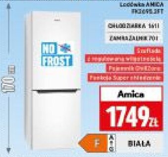 Neopunkt Amica Lodówka oferta