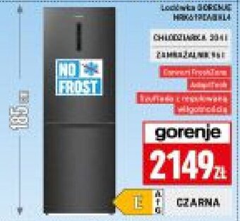 Neopunkt gorenje Lodówka oferta