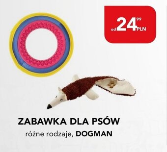 AquaelZOO ZABAWKA DLA PSÓW DOGMAN oferta