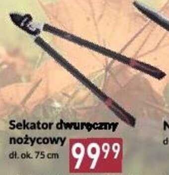 Sekator dwuręczny nożycowy