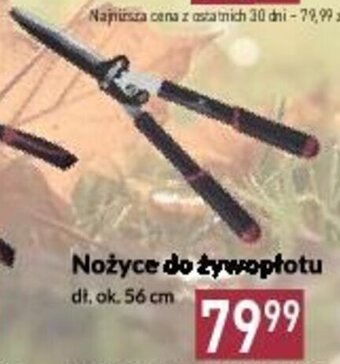 Nożyce do żywopłotu