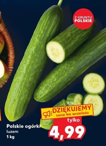 Kaufland Polskie ogórki luzem 1 kg oferta