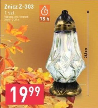 Stokrotka Znicz Z-303 oferta