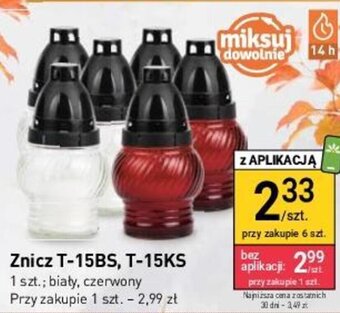 Stokrotka Znicz T-15BS T-15KS oferta