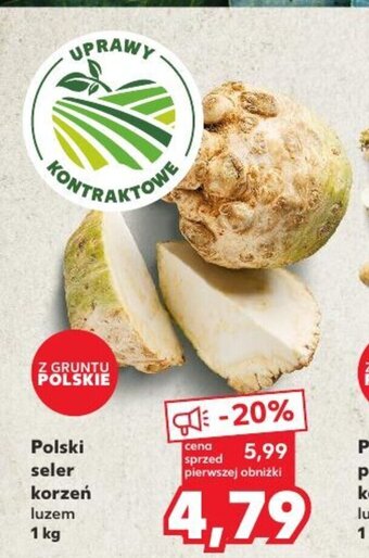 Kaufland Polski seler korzeń 1 kg oferta