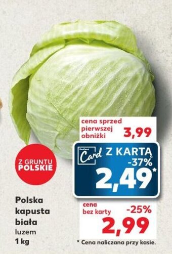 Kaufland Polska kapusta biała 1 kg oferta