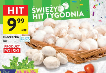 Intermarche Pieczarka luz 1 kg oferta
