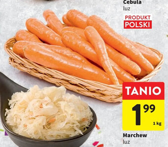 Intermarche Marchew luz 1 kg oferta
