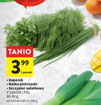 Intermarche Koperek / Natka pietruszki / Szczypior sałatkowy 60-90 g oferta