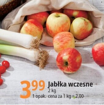 E.Leclerc Jabłka wczesne 2 kg oferta