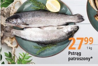 E.Leclerc Pstrąg patroszony 1 kg oferta
