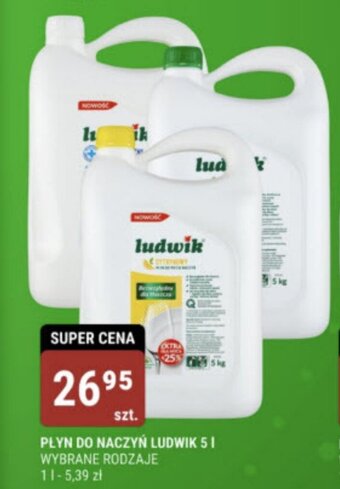 bi1 PŁYN DO NACZYŃ LUDWIK 5 I oferta