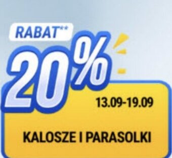 bi1 KALOSZE I PARASOLKI oferta
