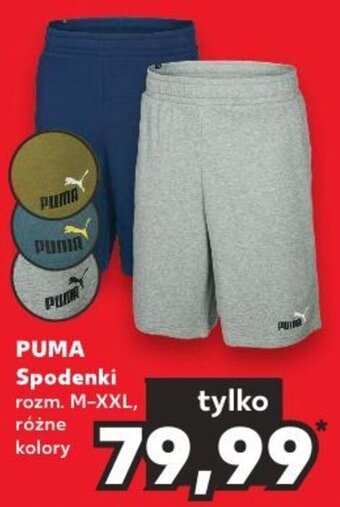 Kaufland PUMA Spodenki oferta