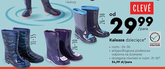Biedronka Kalosze dziecięce CLEVÉ oferta