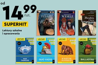 Biedronka Lektury szkolne i opracowania oferta