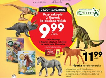Biedronka Figurka kolekcjonerska oferta